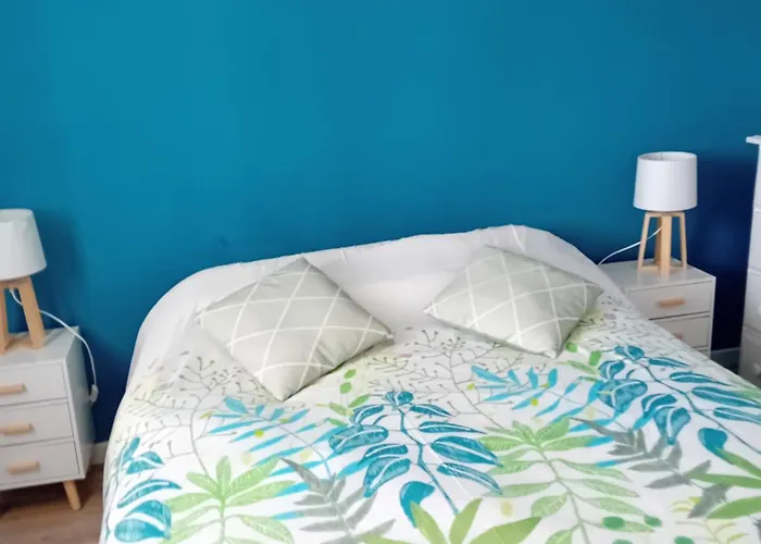 Duplex Face Océan T2 + Mezzanine à Sur